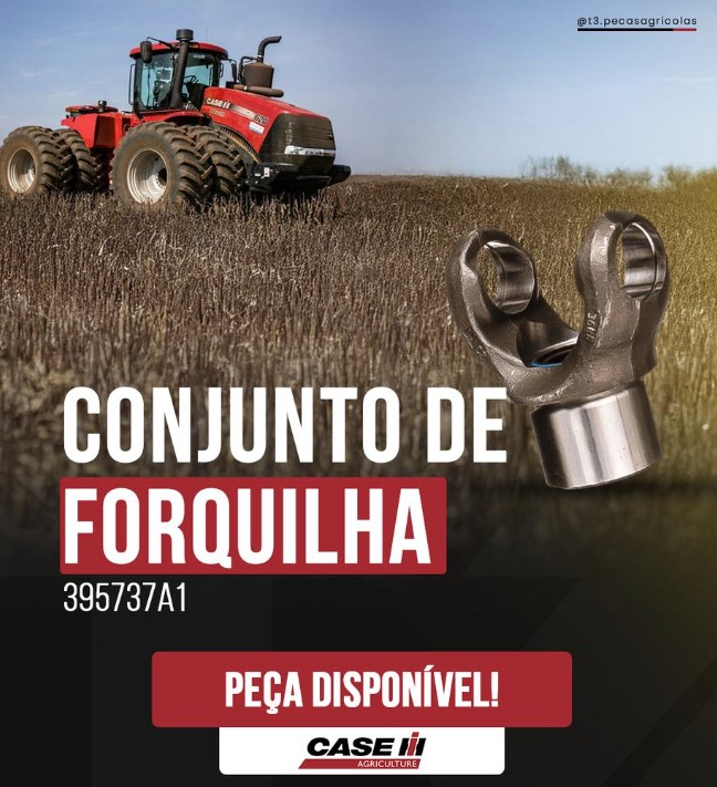 Conjunto de Forquilha — código 395737A1 — Case IH